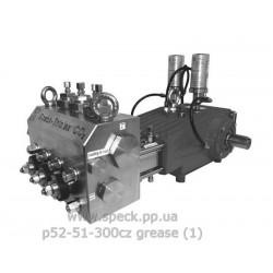 Насос для углекислоты Speck P52/51-300CZ Grease фото