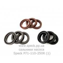 Сальники насоса Speck P71/110-250R